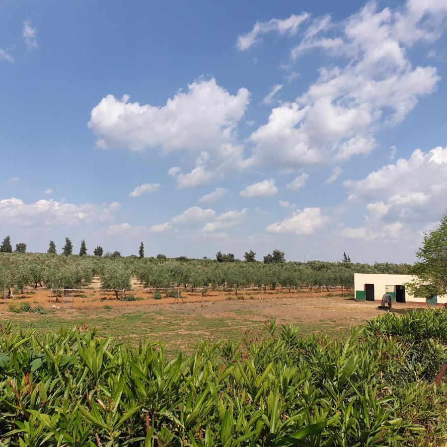 Finca-Vallestares Almonte Dış mekan fotoğraf